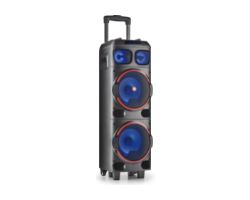 WILDDUB1 - Altavoz NGS Torre Porttil RGB 300W TWS USB-A 3.5mm Bluetooth Asa de Transporte Ruedas Negro (WILDDUB1)