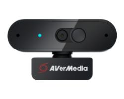 40AAPW310AVS - WebCam AverMedia PW310 FHD 1080p Autofocus 73 Sensor CMOS USB Cable 2m Micrfono Negra (40AAPW310AVS)
