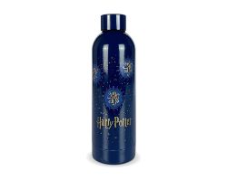 HP91451ASD - Botella de Acero Inoxidable Azul Marino/Dorado 750ml Harry Potter (HP91451ASD)