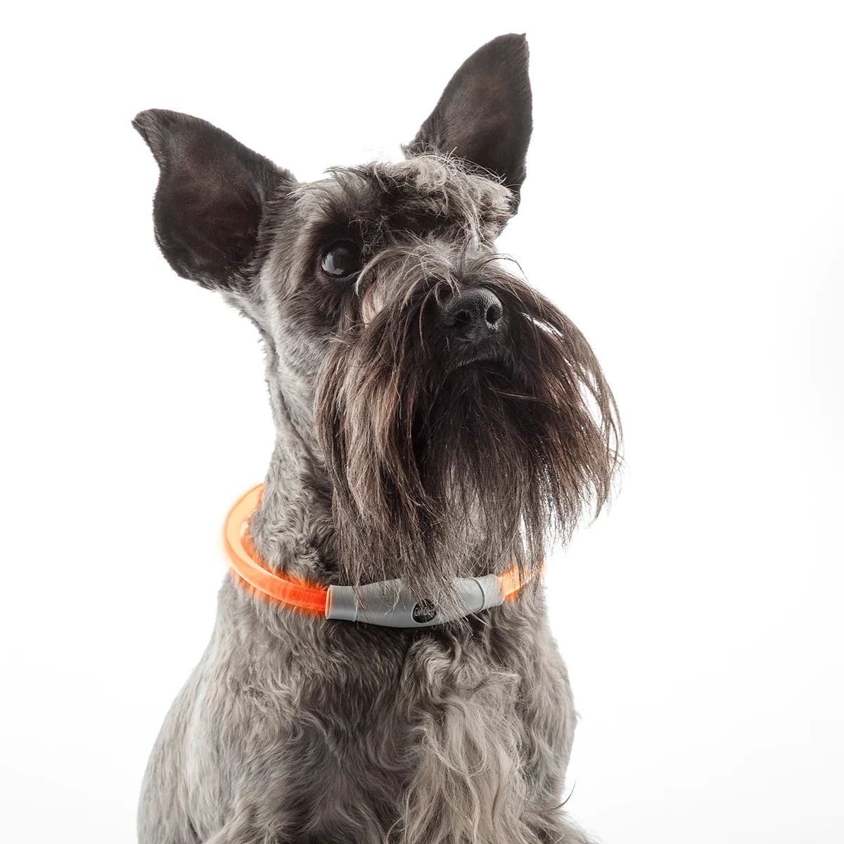 90830 - Collar INNOVAGOODS Petlux para Mascotas LED Naranja 0.5W Elctrico Recargable (90830)