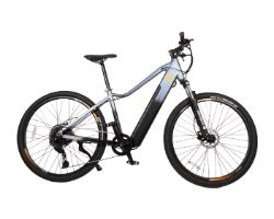 07220 - Bicicleta Elctrica CECOTEC Mountain Avanti 29