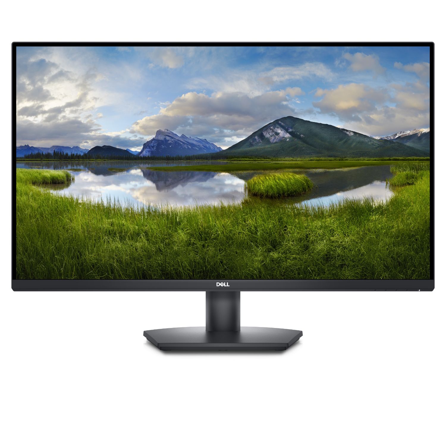 DELL-SE3223Q - Monitor DELL 32