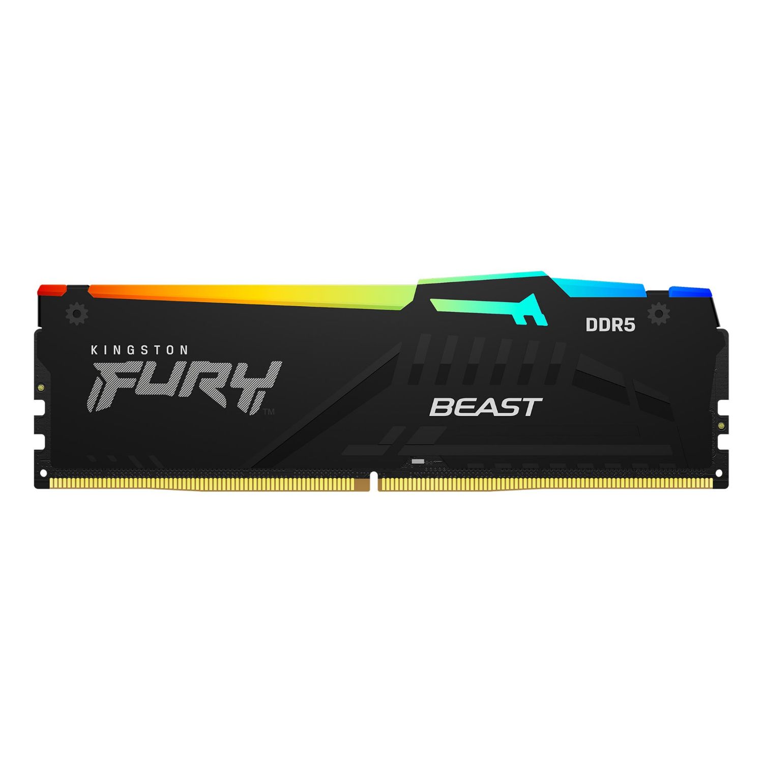 KF556C40BBA/16 - Mdulo Kingston DDR5 16Gb 5600MHz FURY RGB 288-pin DIMM PC/Servidor (KF556C40BBA/16)