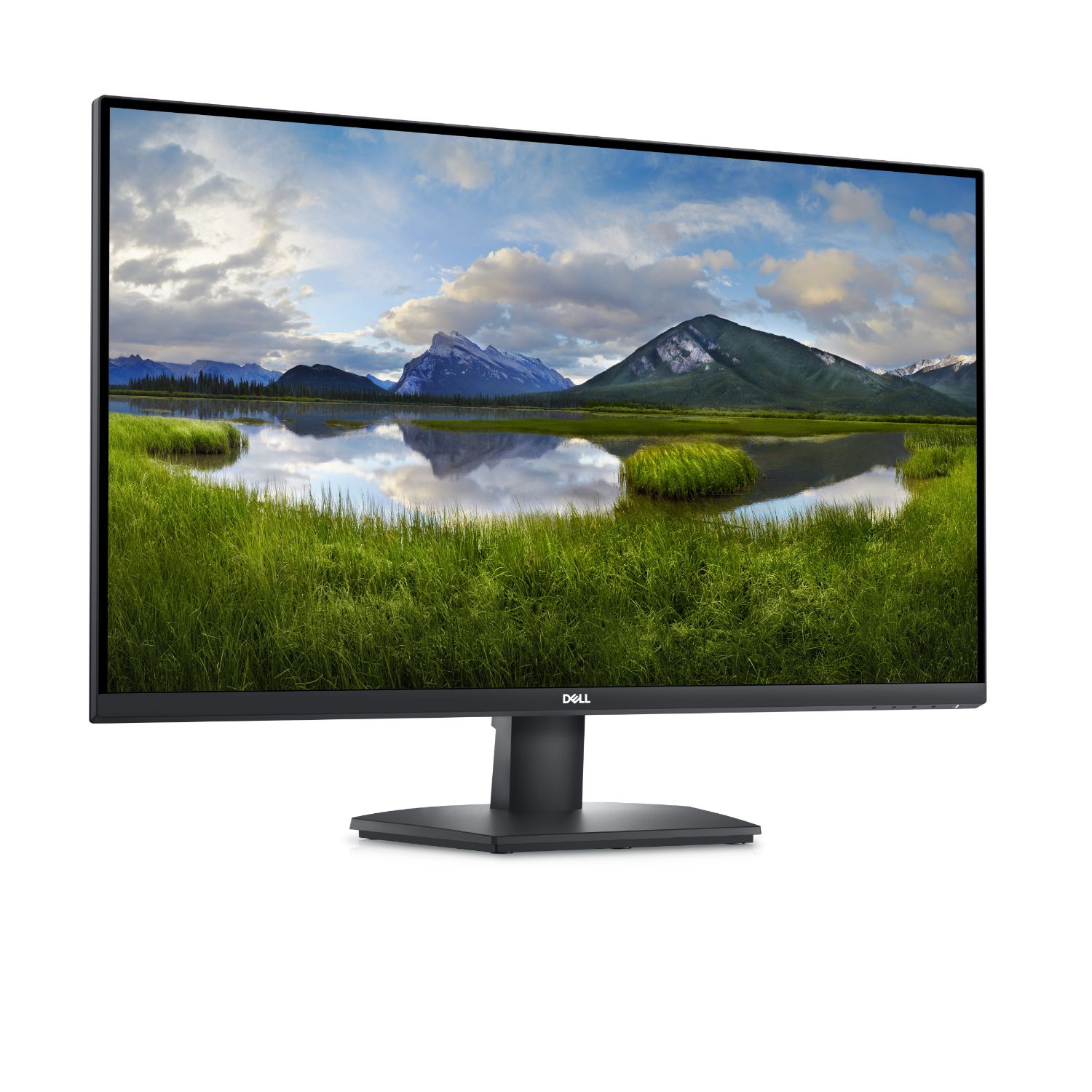 DELL-SE3223Q - Monitor DELL 32