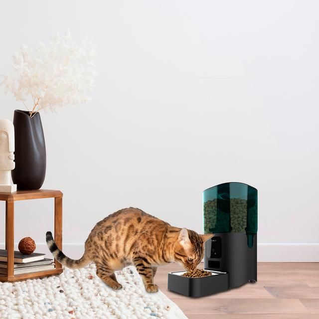 09565 - Comedero Automatico mascotas CECOTEC Pumba 6000 Purrfect Meal Smart,control wifi, con 6 litros de capacidad y control de porciones (09565)