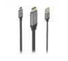 Foto de Conversor AISENS HDMI 2.0/USB-A/M a USB-C/M (A109-0871)