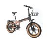 Foto de Bicicleta Elctrica Youin FAT E-Bike DALLAS (BK1650)