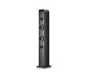 Foto de Torre de Sonido NGS 50W BT/Usb Negro (SKYCHARMPRO)