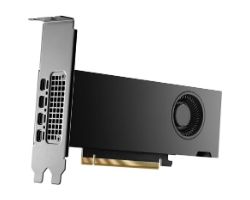 900-5G192-2541-000 - Tarjeta Grfica Nvidia Quadro RTX 2000 Ada Retail 16Gb GDDR6 4xMini DP PCIe 4.0 (900-5G192-2541-000)