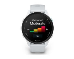 010-03920-01 - Smartwatch Garmin Forerunner 170 AMOLED Digital T�ctil Color 1.2