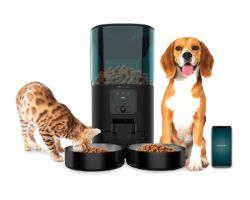 A01_EU01_117511 - Comedero Autom�tico Cecotec Pumba 8600 Double Meal Vision para mascotas con dos bowls de inox, control wifi, c�mara, grabadora de voz, con 7 litros de capacidad y control de porciones. (A01_EU01_117511)