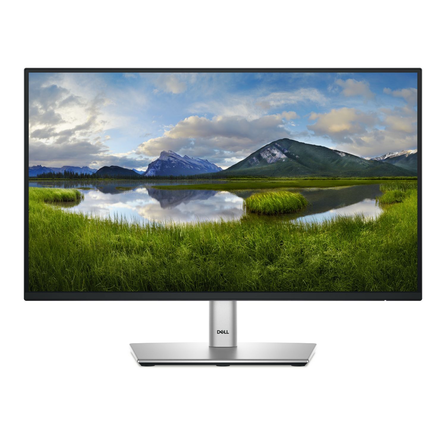 P2225H - Monitor Dell 22