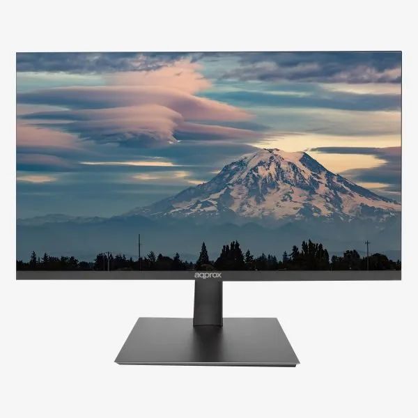 APPM24BV4 - Monitor Approx 24