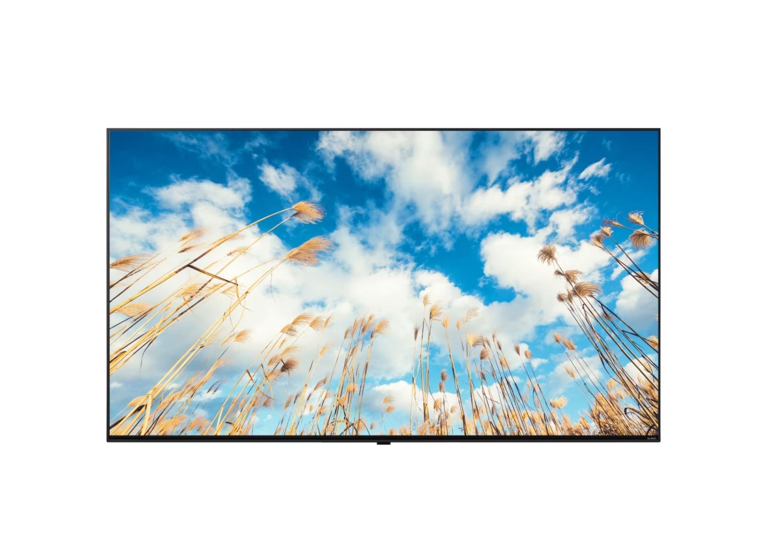 65UM767H0LJ - TV LG 65