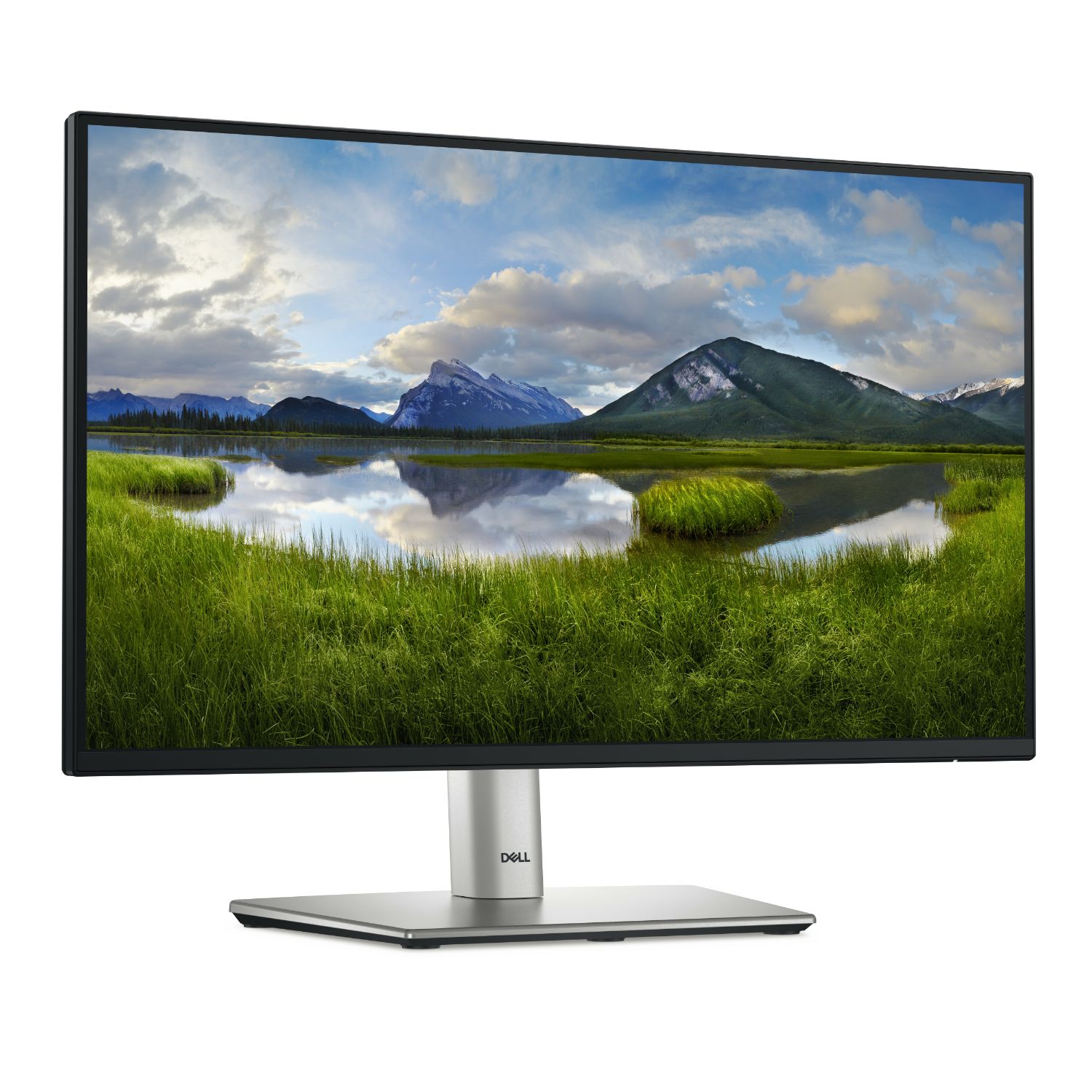 P2225H - Monitor Dell 22