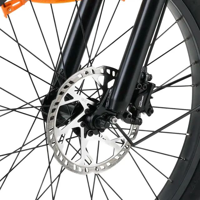 BK6000 - Bicicleta Electrica YOUIN Dover Triciclo Plegable 250W, portabultos delantero y trasero, hasta 200Kg de carga, ruedas de 24