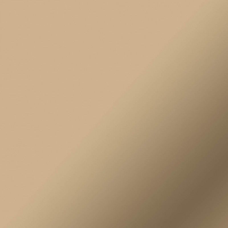 CRC-2011610 - Vinilo Permanente CRICUT 33x91cm Champn (CRC-2011610)