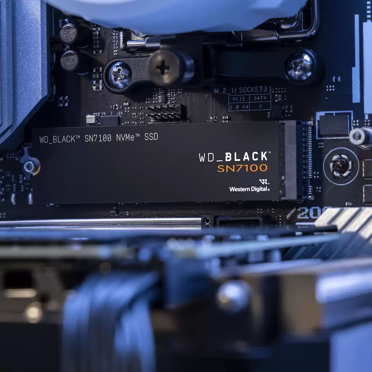 WDS100T4X0E - SSD WD Black SN7100 M.2 1Tb (WDS100T4X0E)