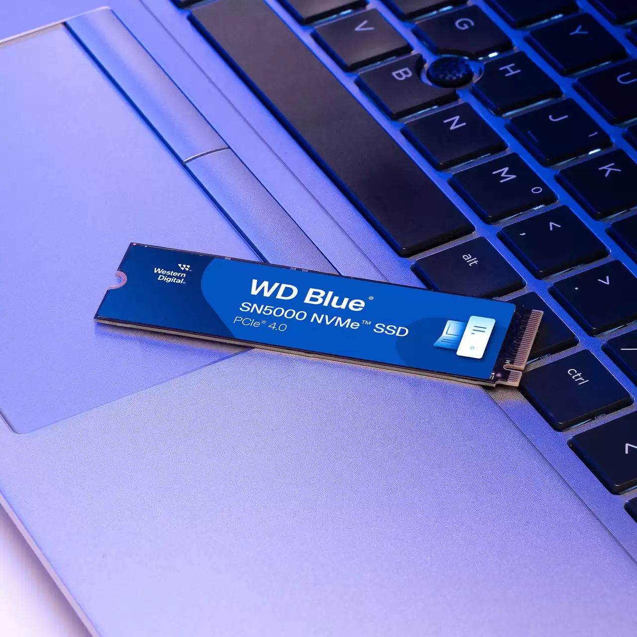 WDS500G4B0E - SSD WD SN5000 Blue 500Gb NVMe PCIe Gen4 x4 (WDS500G4B0E)