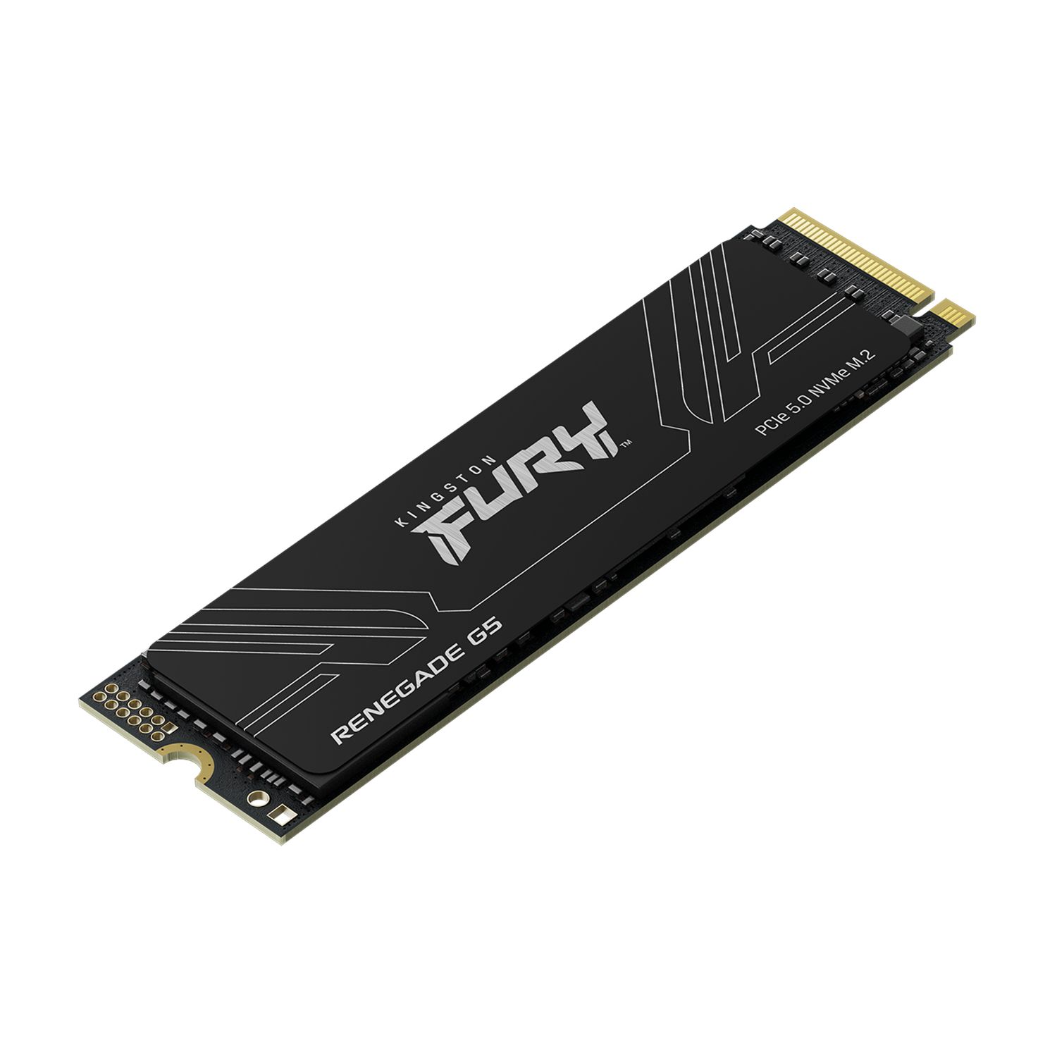 SFYR2S/1T0 - SSD Kingston FURY Renegade G5 1Tb Pcie5.0 14200MB/s M.2 (SFYR2S/1T0)