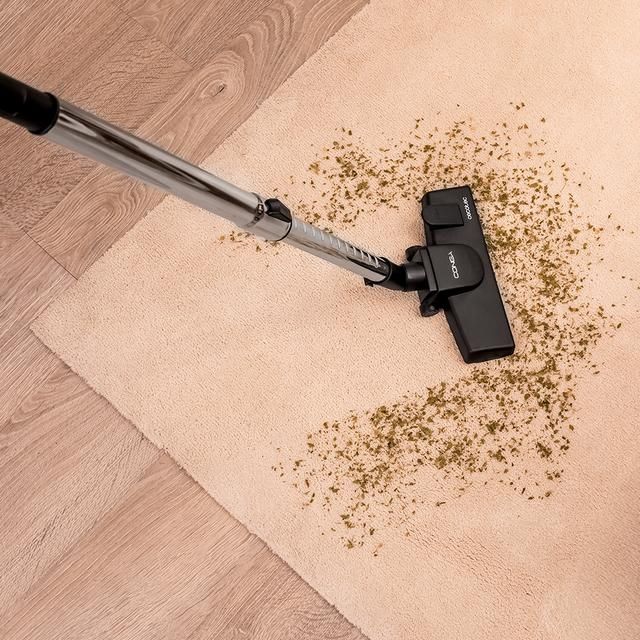 08575 - Aspirador Trineo Cecotec Conga Powerbag 2000, 800W, Con bolsa. M�xima capacidad del dep�sito de hasta 2 L con filtrado de alta eficiencia y tubo telesc�pico met�lico. Incluye accesorios aptos para muebles y esquinas. (08575)