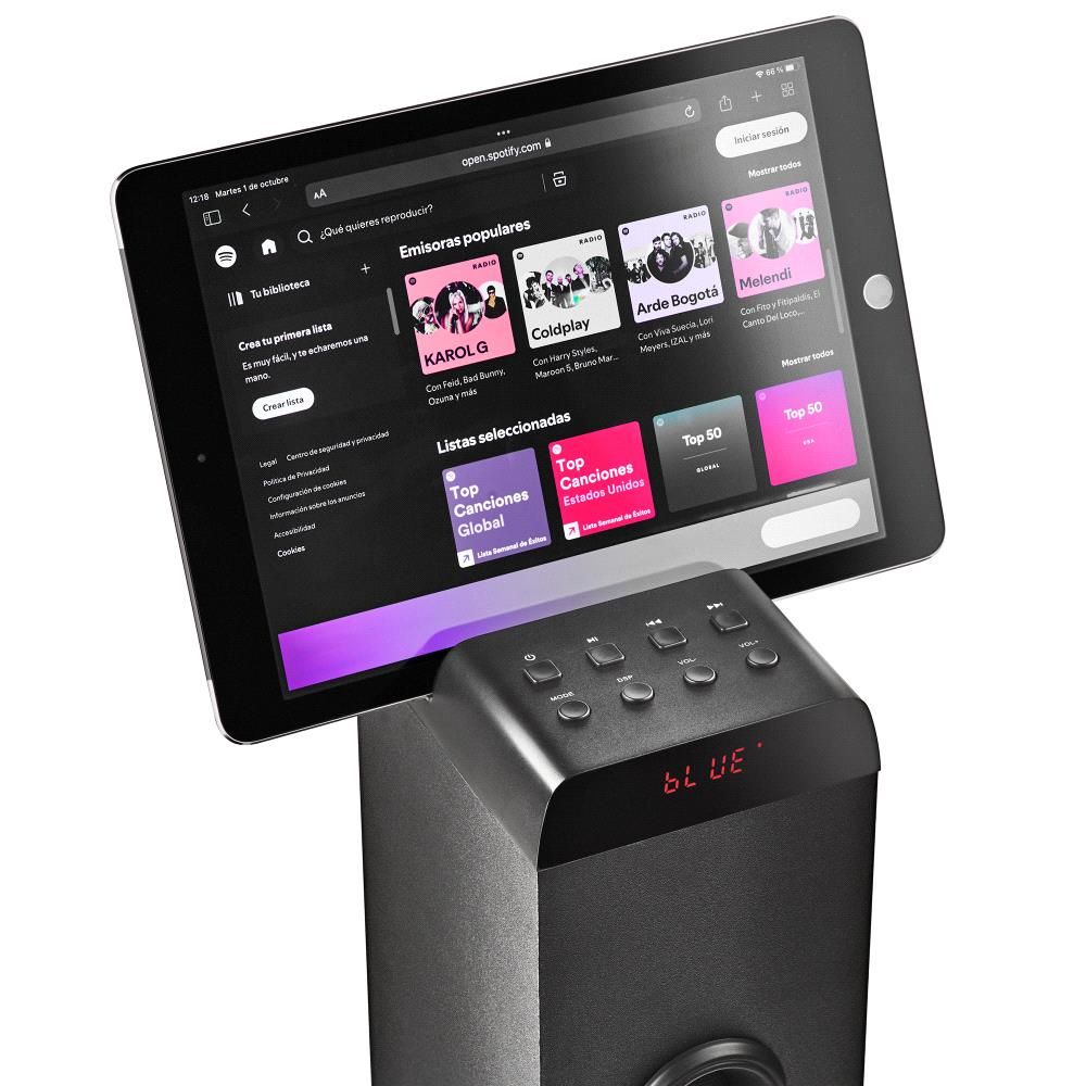 SKYCHARMPRO - Torre de Sonido NGS 50W Micrfono Bluetooth 5.4/USB Entrada Auxiliar Negro (SKYCHARMPRO)