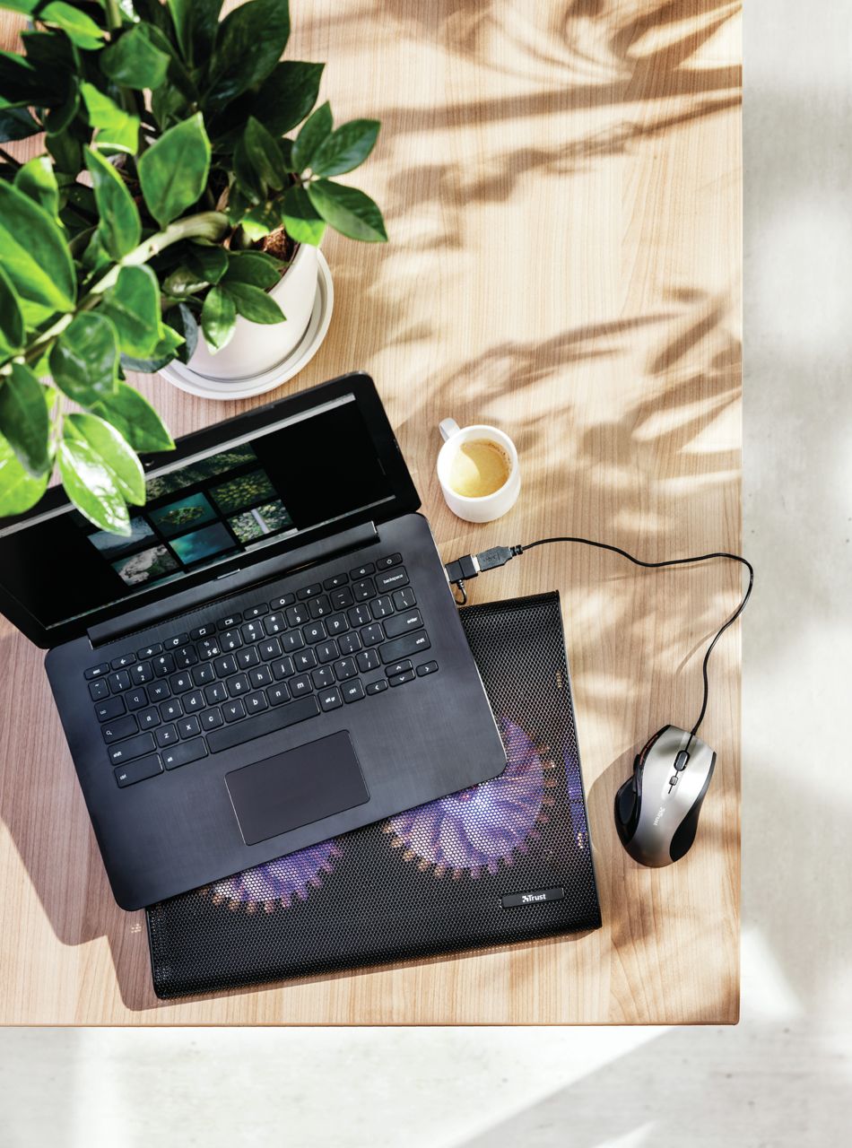 20104 - Soporte Refrigeraci�n Trust para port�tiles hasta 17.3