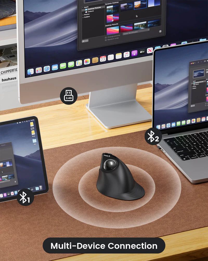 CP015520 - Rat�n Vertical Ergon�mico ProtoArc EM05 NL Trackball Wireless Gris (CP015520)