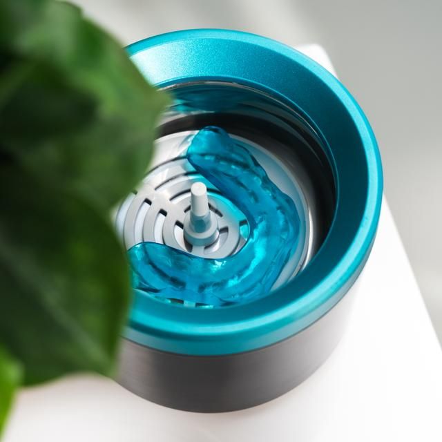 A01_EU01_100834 - Limpiador CECOTEC ToothCare EasyClean ultrasnico para frulas y dentaduras.(A01_EU01_100834)