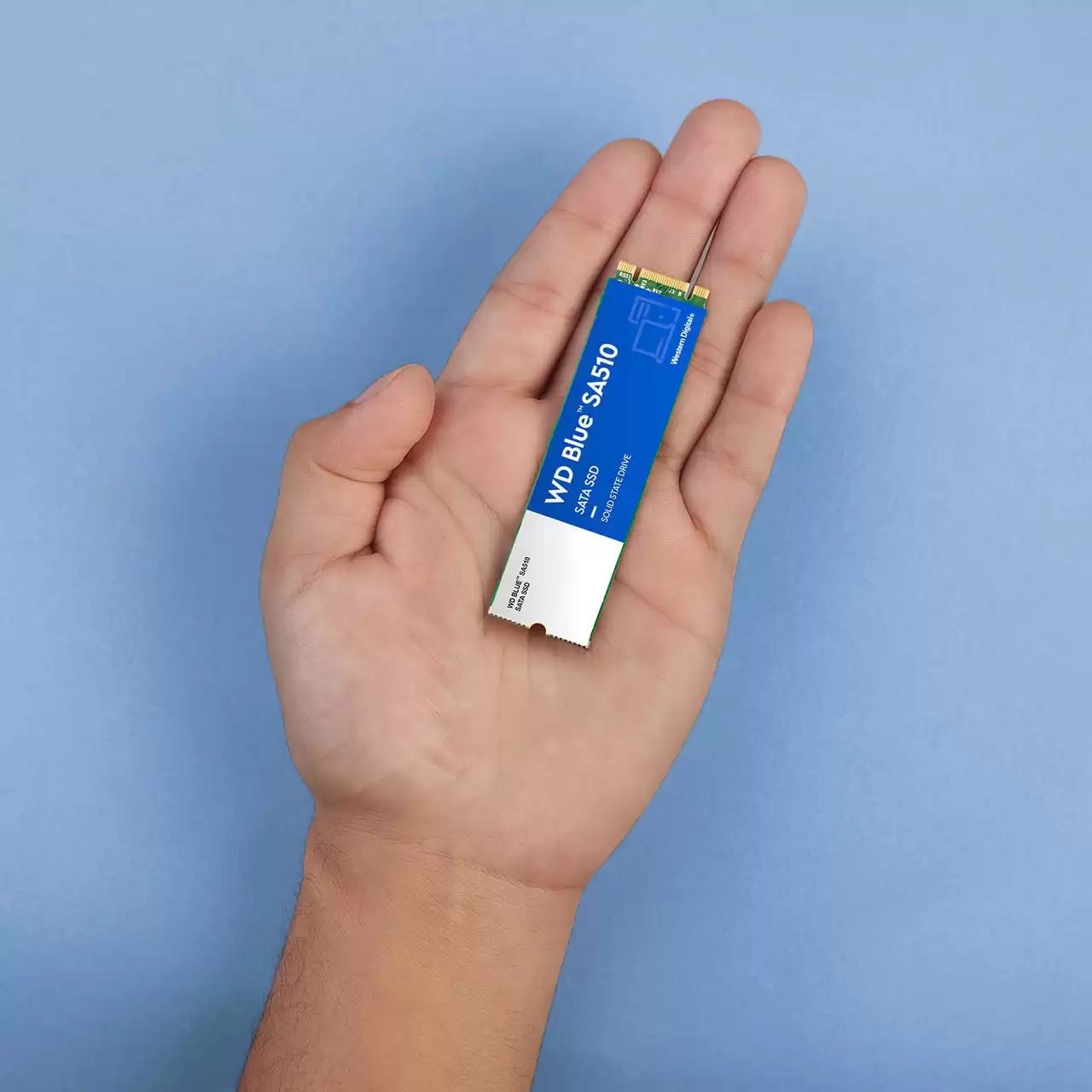 WDS100T3B0B - SSD WD Blue SA510 1Tb M.2 560Mbs (WDS100T3B0B)