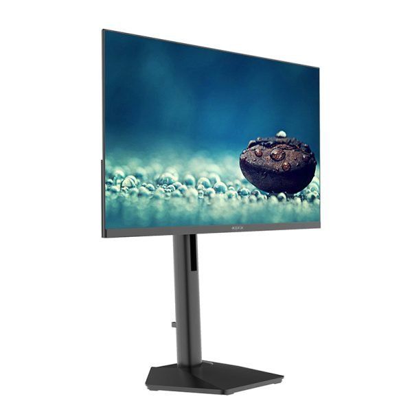 APPM24SBV4 - Monitor Approx 24