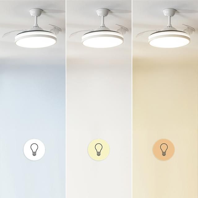 04300 - Freidora de Aceite Ceotec Cleanfry Luxury 3000, 3,2 Litros con 2400 W, Acero Inoxidable, 5 Programas Preestablecidos, Filtro OilClean. (04300)