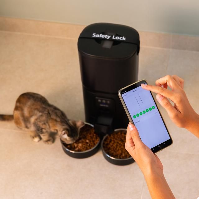 A01_EU01_117511 - Comedero Autom�tico Cecotec Pumba 8600 Double Meal Vision para mascotas con dos bowls de inox, control wifi, c�mara, grabadora de voz, con 7 litros de capacidad y control de porciones. (A01_EU01_117511)
