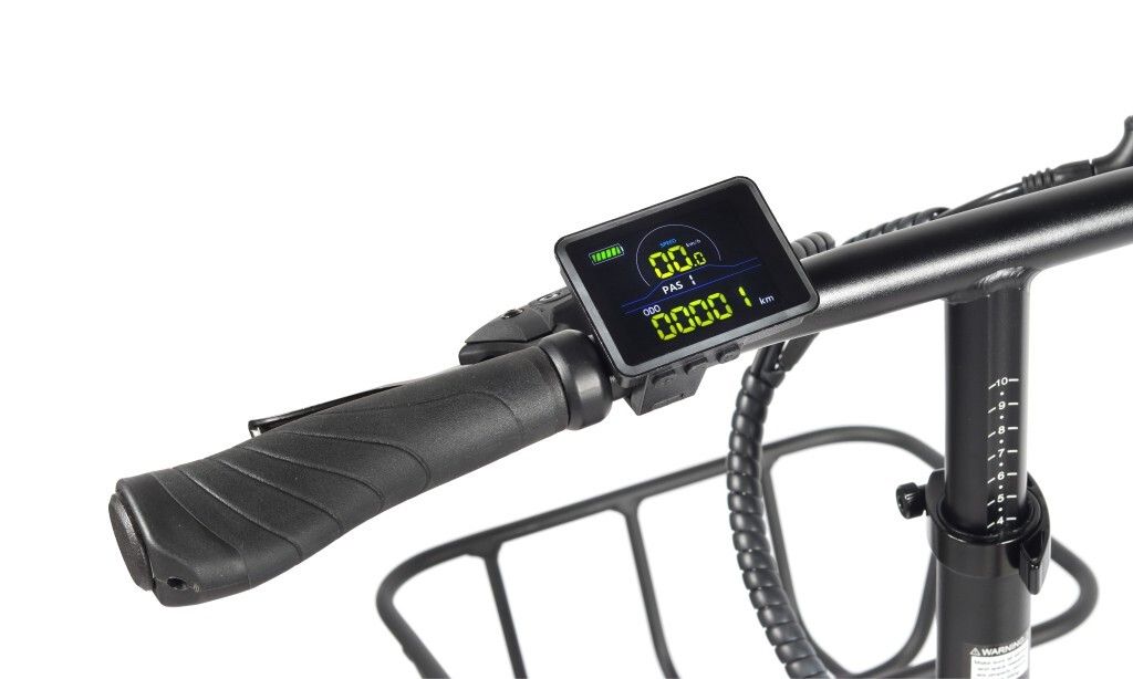 BK1650 - Bicicleta Elctrica Youin FAT E-Bike DALLAS 20