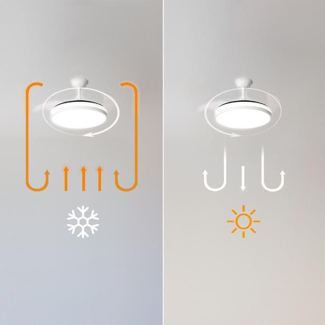 04300 - Freidora de Aceite Ceotec Cleanfry Luxury 3000, 3,2 Litros con 2400 W, Acero Inoxidable, 5 Programas Preestablecidos, Filtro OilClean. (04300)