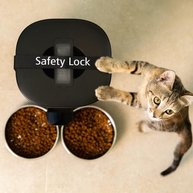 A01_EU01_117511 - Comedero Autom�tico Cecotec Pumba 8600 Double Meal Vision para mascotas con dos bowls de inox, control wifi, c�mara, grabadora de voz, con 7 litros de capacidad y control de porciones. (A01_EU01_117511)