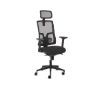 Foto de Silla Fellowes Eleganza Plus Ergon�mica Negra 100146199