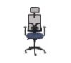Foto de Silla Fellowes Eleganza Plus Ergon�mica Azul 100146201