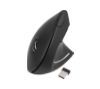 Foto de Rat�n Vertical TooQ RF Wireless Negro (TQMWG-1104-B)