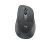 Foto de Rat�n LOGITECH Signature Comfort Plus M850 (910-007704)