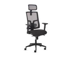100146199 - SILLA FELLOWES ERGON�MICA ELEGANZA. Respaldo reclinable PLUS. Respaldo con soporte lumbar ajustable. Reposacabezas integrado. Reposabrazos acolchados en 2D. Negro (100146199)