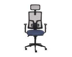 100146201 - SILLA FELLOWES ERGON�MICA ELEGANZA. Respaldo reclinable PLUS. Respaldo con soporte lumbar ajustable. Reposacabezas integrado. Reposabrazos acolchados en 2D. Azul(100146201)