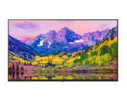 OUT1154 - Televisor LG 43