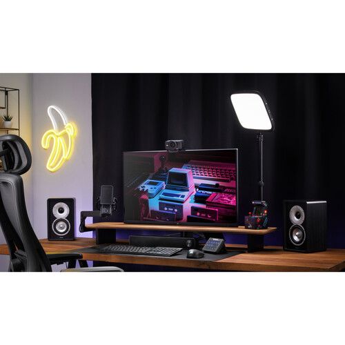 10WAF9901 - Elgato Facecam 4K. Webcam profesional . Captura v�deo en 4K a 60 fp con imagen n�tida y colores naturales para streaming, videoconferencias y creaci�n de contenido. Incorpora conexi�n USB-C y controles avanzados para ajustar. Negro (10WAF9901)