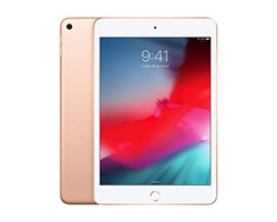 MUQY2TY/A - Apple iPad Mini 5 7.9