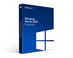 G3S-01310 - Sistema operativo Microsoft Window Server 2019 Essential