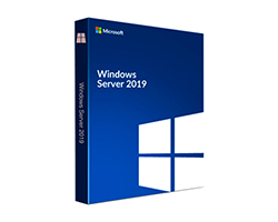 P11058-071 - Windows Server 2019 Standard Edition ROK (P11058-071)
