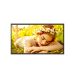 Imagen galer�a 1