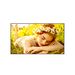 Imagen galer�a 1
