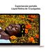 Imagen galer�a 4